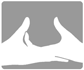 Academy for Photographic Excellence - APE Logo - JPG, PNG, GIF, JPEG