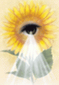 Aditya Jyot Institute of Optometry - AJIO Logo - JPG, PNG, GIF, JPEG