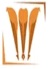 Advanced Institute of Education-AIE Logo - JPG, PNG, GIF, JPEG