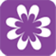 Annai Violet Arts and Science College - AVASC Logo - JPG, PNG, GIF, JPEG