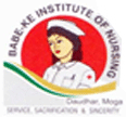 Babe Ke Institute of Nursing - BIN Logo - JPG, PNG, GIF, JPEG