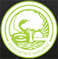 Bapu Nature Cure Hospital and Yogashram - BNCHY Logo - JPG, PNG, GIF, JPEG
