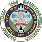 Choudary Charan Singh Haryana Agricultural Univeersity College of Agriculture