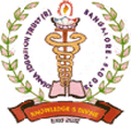 Diana College of Nursing - DCN Logo - JPG, PNG, GIF, JPEG