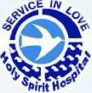 Holy Spirit Institute of Nursing Education (Holy Spirit School of Nursing)-HSINE Logo - JPG, PNG, GIF, JPEG