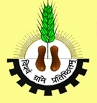 Mahatma Gandhi Chitrakoot Gramoday Vishwavidyalaya - MGCGV