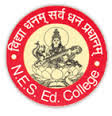 N.E.S. EDUCATION COLLEGE - NESEC Logo - JPG, PNG, GIF, JPEG