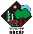 National Research Centre for Agroforestry - NRCAF Logo - JPG, PNG, GIF, JPEG