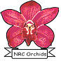 National Research Centre for Orchids - ICAR Logo - JPG, PNG, GIF, JPEG