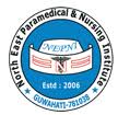 Nepni School Of Nursing - NSN Logo - JPG, PNG, GIF, JPEG