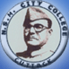 Netaji Subhas Memorial City College-NSMCC Logo - JPG, PNG, GIF, JPEG