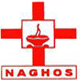 NH School of Nursing - NHSN Logo - JPG, PNG, GIF, JPEG