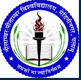 Nilamber Pitamber University - NPU