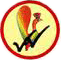 NV Polytechnic College-NVPC Logo - JPG, PNG, GIF, JPEG
