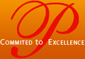 PIONEER Institute of Management-PIM Logo - JPG, PNG, GIF, JPEG