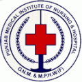 Punjab Medical Institute of Nursing and Hospital-PMINH Logo - JPG, PNG, GIF, JPEG