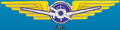 Regional Institute of Aviation - RIA Logo - JPG, PNG, GIF, JPEG