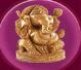 S.G. College of Education-SGCE Logo - JPG, PNG, GIF, JPEG