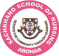 Sachkhand School of Nursing - SSN Logo - JPG, PNG, GIF, JPEG