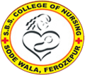 Shaheed Bhagat Singh College of Nursing - SBSCON Logo - JPG, PNG, GIF, JPEG