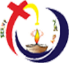 St. Anns School of Nursing-SASN Logo - JPG, PNG, GIF, JPEG