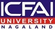 The Institute of Chartered Financial Analysts of India University College of Doctoral Programs Logo - JPG, PNG, GIF, JPEG