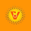 VIJAYASHGREE EDUCATIONAL INSTITUTE - VEI Logo - JPG, PNG, GIF, JPEG