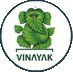 Vinayak Vidyapeeth-VV Logo - JPG, PNG, GIF, JPEG